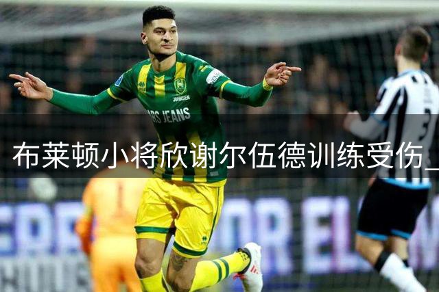 布莱顿小将欣谢尔伍德训练受伤 主帅坦承归期未定